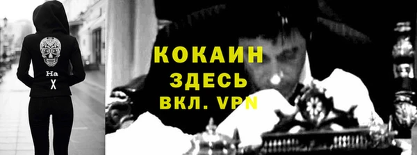 сатива Армянск