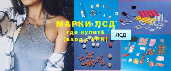 сатива Армянск